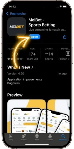 Install and launch